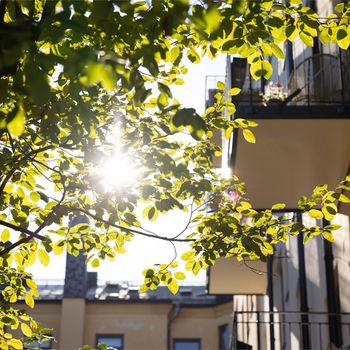 An image of the home at Dalagatan, Stockholm