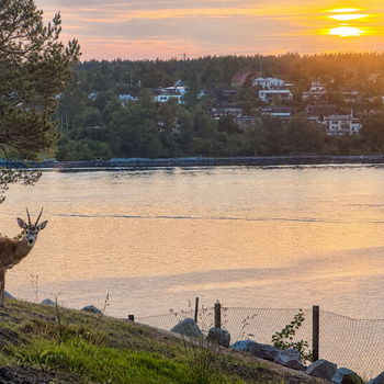 An image of the home at Emblavägen, Saltsjö-Boo