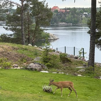 An image of the home at Emblavägen, Saltsjö-Boo