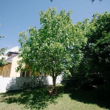 An image of the home at Larödsvägen, Helsingborg