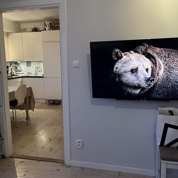 An image of the home at Fridhemsgatan, Stockholm