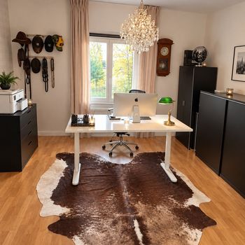 An image of the home at Brandalsund, Järna