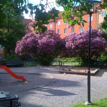 An image of the home at Hedemoratäppan, Stockholm