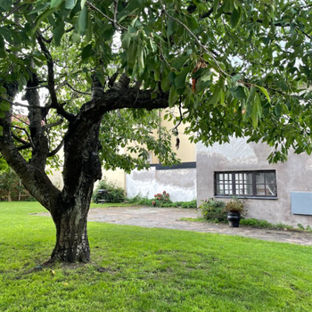An image of the home at Östra Sandviksgatan, Helsingborg