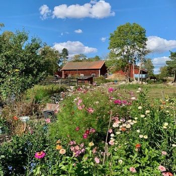 An image of the home at Hågavägen, Uppsala