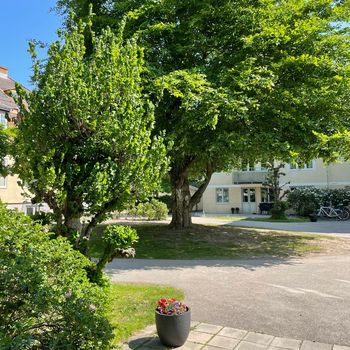 An image of the home at Torpavägen 13A, Vänersborg