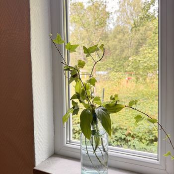 An image of the home at Tärnsjö Gullsmyra Ulebo Kvarn, Tärnsjö