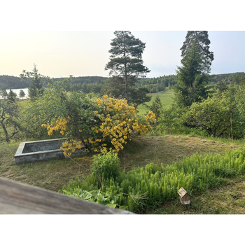 An image of the home at Ängen, Mölnbo