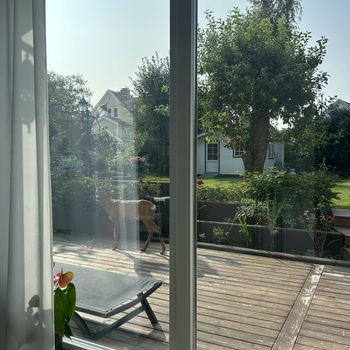 An image of the home at Sockenvägen , Stockholm