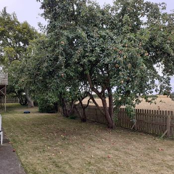 An image of the home at Härslövsvägen, Härslöv
