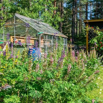 An image of the home at Binnersbergstorp, Vikbolandet
