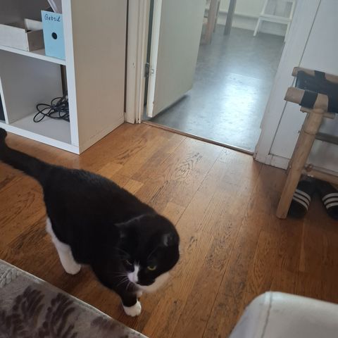 Bild av lägenhet i Kista