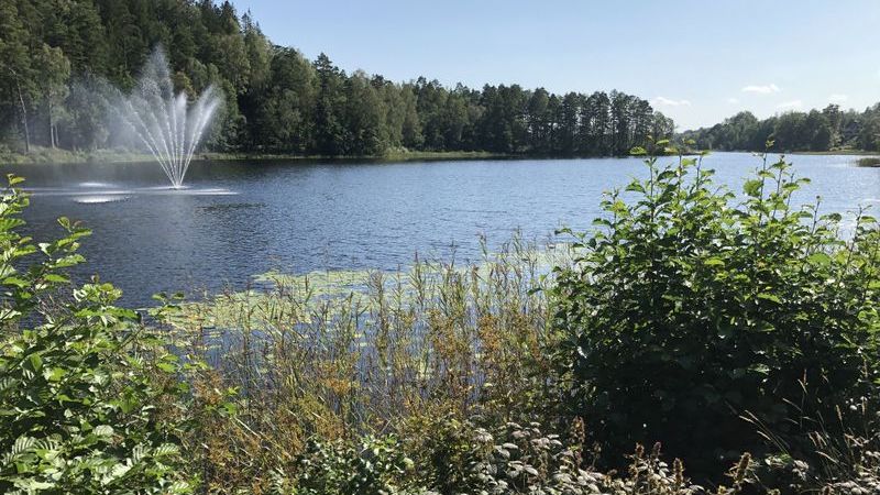Ledig lägenhet i Svenljunga