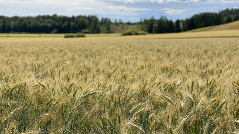 Ledig lägenhet i Södertälje