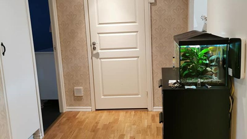 Ledig lägenhet i Sundsvall